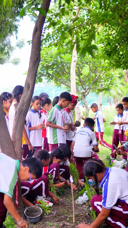 Jain Global School - Harela planting day, shot live